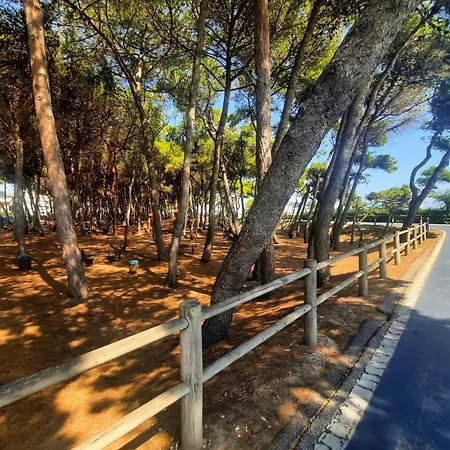 Bassa Marea 1 - Myho Casa Appartamento Alba Adriatica