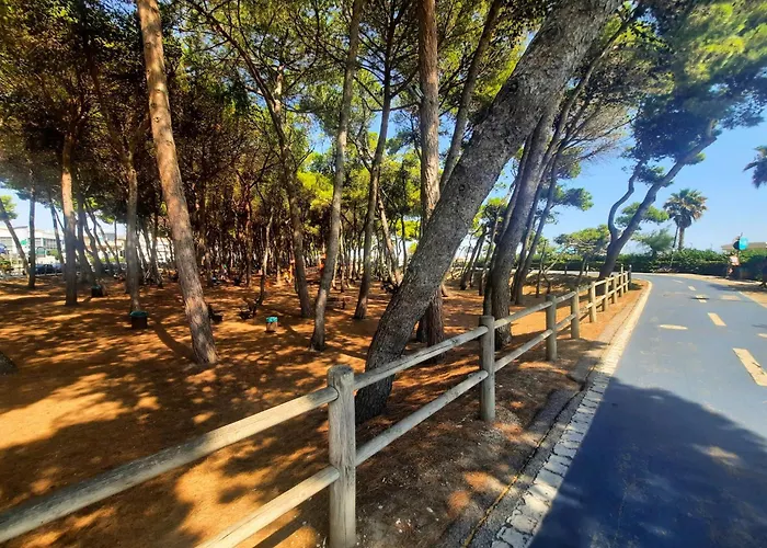 Bassa Marea 1 - Myho Casa Apartment Alba Adriatica